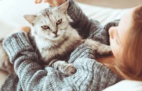 Kedi Alerjisi Hakkinda Tum Bildiklerinizi Unutun Kadin Com
