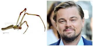 Животные и растения названные в честь актеров