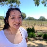 3400+ "Röman" profiles