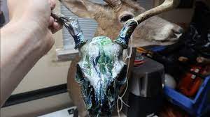 How To Dip Skulls With Spray Paint Who Tee Who Animal Skull Decor Hydro Painting Spray Paint