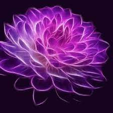 Flower Gif Flower Discover Share Gifs Purple Aesthetic Beautiful Gif Purple
