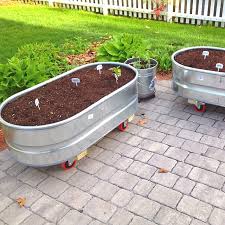 Use Feeding Troughs As Mobile Raised Beds Install Casters On The Bottom Drill 0 5 Drainage Holes A Portable Garden Container Gardening Stock Tank Gardening