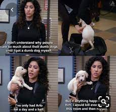 See more ideas about #dog #dogs #woof #woofies #dogwoofies. Anyone Else Love The Little Shoutout To Arlo In Last Week S Heist Episode Glad To Know He S Alive And Well Brooklynninenine