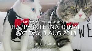Aug 05, 2021 · and last updated 12:11 pm, aug 05, 2021 international cat day is coming up on sunday, august 8, and cats and kittens across the country are waving their adorable little paws from their shelters and. Happy International Cat Day 8 8 2018 Youtube