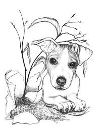 Epingle Par Janny Messink Sur Jack Russell Terrier Dessin De Chien Chien A Colorier Dessin Chien