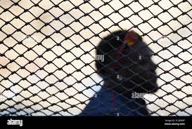 Image result for tbn:0QkDW1j1_Pp3XM::u.tgareed.com/uploads/7d2886121c.jpg