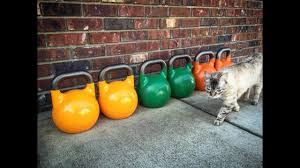 31 reviews of kettlebells south bay i was looking to buy a real rkc kettlebell and found that joe at south bay kettlebells was the only guy in the area that sold them. Beginner Intermediate Kettlebell Complex How To Choose A Good Kettlebell Youtube