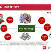 unit trust n (1936) 1 brit: 1