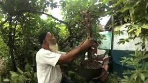 Check spelling or type a new query. Nilam Pertiwi