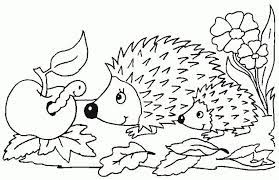 Ausmalbilder Herbst 14 Ausmalbilder Herbst Igel Schon Ausmalbilder Tiere Igel 979 Malvorlage Tiere Ausmalbilder Igel Ausmalbild Ausmalbilder Ausmalbilder Tiere