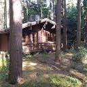 Ferienhaus Waldblick Ferienhaus In Hitzacker Elbe Ferienhaus Im Wald Ferienhaus Ferien