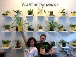 Plants grown under lights indoors need more hours of light than the same plants do outdoors. Episode 12 Everything You Need To Know About Indoor Grow Lights With The Sill S Chris Satch Bloom Grow Radio
