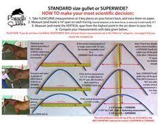 how to measure my horse for a saddle new measuring chart