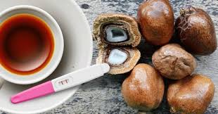 Haluskan buah zuriat menjadi serbuk dan dimakan begitu saja ambil dua biji buah zuriat, kupas hingga habis kulitnya. Manfaat Buah Zuriat Untuk Kesehatan Cerita Sehat