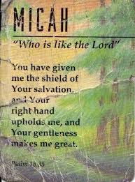 Name Meaning Of Micah And A Great Bible Verse Names With Meaning Bible Baby Names Baby Names And Meanings