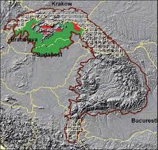 Image result for Pycreus fluminalis