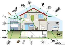 Animals such as cats, barn owls, dogs, and birds can the dogs are used by many pest control companies in their inspection efforts, as they are said to be quicker and more accurate in finding the bed bugs. Residential Home Pest Control Owl Pest Control Dublin