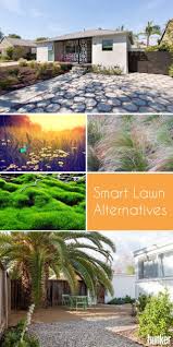 All of these provide interesting texture and are available in a variety of colors and sizes that will fit into any landscape design. These Lawn Alternatives Are Smart Solutions When You Don T Want Grass Hunker Lawn Alternatives Lawn Lush Lawn