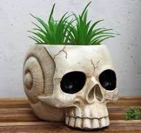 Jarrón De Halloween, Maceta De Calavera, Maceta De Halloween, Maceta De  Calavera, Macetas Góticas, Decoración De Calavera, Macetas Del Día De Los |  ...