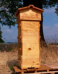 The viewing window allows the beekeeper to look inside the hive without disturbing the bees. Warre Hive The Bee Space