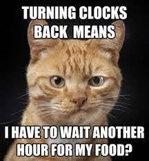 Clocks 'fall back' for the USA this weekend! 🍂 - Fun Stuff -  TrustedHousesitters Community Forum