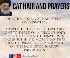 While bitcoin's existence can be proven, the digital currency is not tangible like other currencies such as the dollar or euro. Cat Hair And Prayers Shia