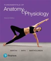 Marieb began her teaching career at springfield college, where she taught anatomy and physiology to physical education majors. Best Human Physiology Book For Medical Students College Learners