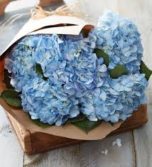 It's easy to do when you use a reputable international florist. Market Style Bouquet Of Hydrangea Scent Violet Flower Plants And Gift Delivery Houston Tx Florist