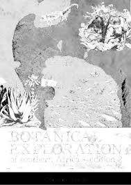 Image result for Indigofera soutpansbergensis