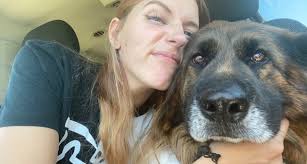 Northside Animal Hospital