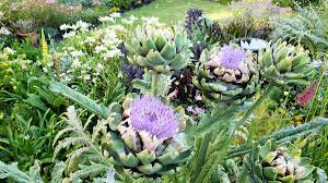 Since the garden is not. Companion Plants 14 Vegetables Pretty Enough For The Flower Borders Gardenista