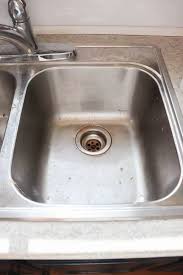 get rid of fruit flies in sink