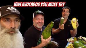 The Best Florida Avocado That No One Knows About