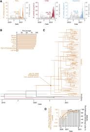 On 14 june 2021, the world health organization (who) named it lambda variant and designated it as a variant of interest. Sars Cov 2 Lambda Variant Exhibits Higher Infectivity And Immune Resistance Biorxiv