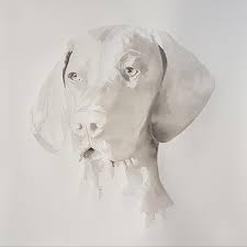 Er zijn simpele, maar ook wat moeilijkere. Hond Kop Tekening
