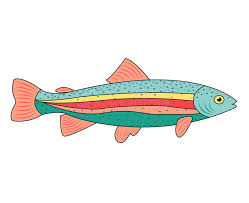 Maybe you would like to learn more about one of these? Rainbow Trout Drawing Stock Illustrations 466 Rainbow Trout Drawing Stock Illustrations Vectors Clipart Dreamstime