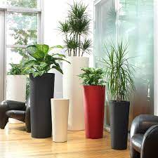 Pianta eternarenatoun buon prodotto, anche se di plastica! Vaso Conico Alto Per Esterno E Giardino Schio