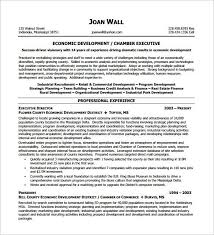 Executive Resume Template 14 Free Word Excel Pdf Format Download Free Premium Templates