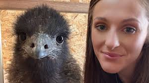 Norman Police identify man who fell to death at grain company