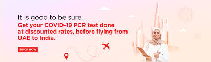 The two main branches detect either the presence of the virus or of antibodies produced in response. Spicejet