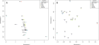 Get notifications when they air. Mitogenomes Illuminate The Origin And Migration Patterns Of The Indigenous People Of The Canary Islands Biorxiv