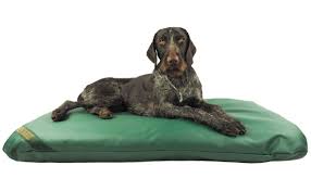 Scrub with baking soda to remove any lingering odors, using a toothbrush to get into the corners. Easy To Clean Large Dog Beds Tuffies Dog Beds