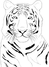 Tiger printable coloring pages are a fun way for kids of all ages to develop creativity, focus, motor skills and color recognition. Free Printable Tiger Coloring Pages For Kids
