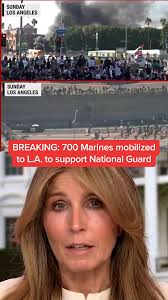 BREAKING: Approximately 700 U.S. Marines have been mobilized to support the  National Guard in protecting federal personnel and property in Los Angeles,  according to two Department of Defense ...