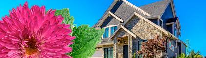 Add them now to this category in fort worth, tx or browse best pest control for more cities. Pest Control Dallas Tx Termite Control Fort Worth Tx