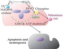 How To Approach Drug Induced Agranulocytosis In Icu Mahant S Mahant Pd Shobhane U Egypt J Haematol