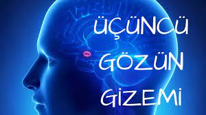 Ucuncu Goz Pineal Bez Ve Dmt Nin Gizemi 1 Bolum Youtube