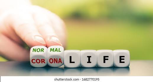 Back Normal Hand Turns Dice Changes Stock Photo 1682770195 | Shutterstock