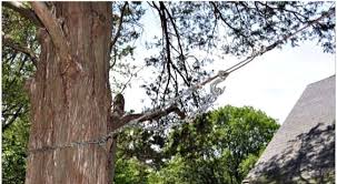 For a barbecue or backyard gathering, a zip line can be fun for children as well as adults. How To Build A Backyard Zipline Momof6