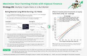 通過Alpaca Finance 獲利：策略4 — 在牛市中倍增加密貨幣收益| by Kelvin | Alpaca Finance 羊駝金融|  Medium